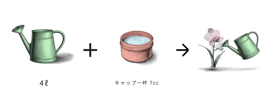 植物全般に対する使用方法